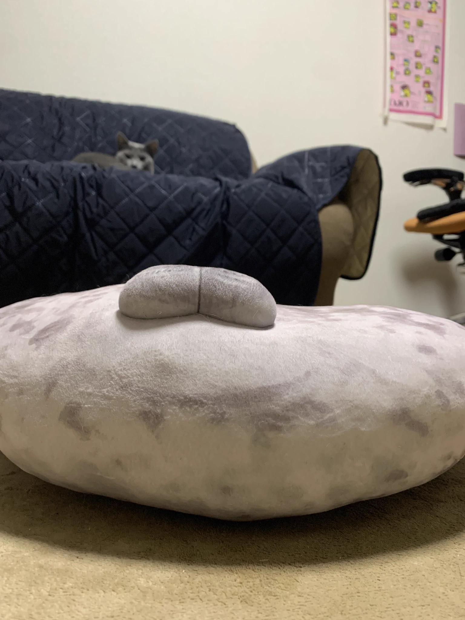 あんなにまるまるとしていたのに…猫さんに乗られ平になったアザラシクッション！