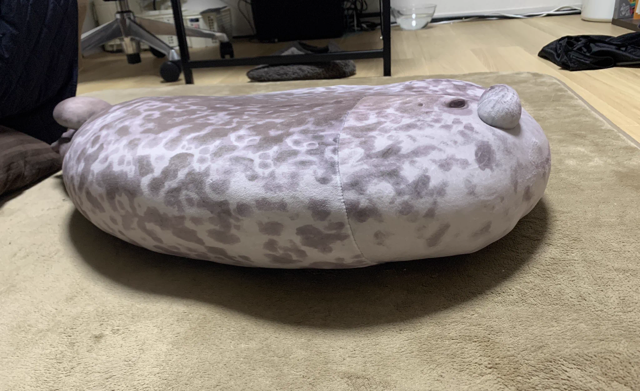 あんなにまるまるとしていたのに…猫さんに乗られ平になったアザラシクッション！