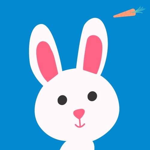 xRabbit (@xrp_rabbit) | Twitter