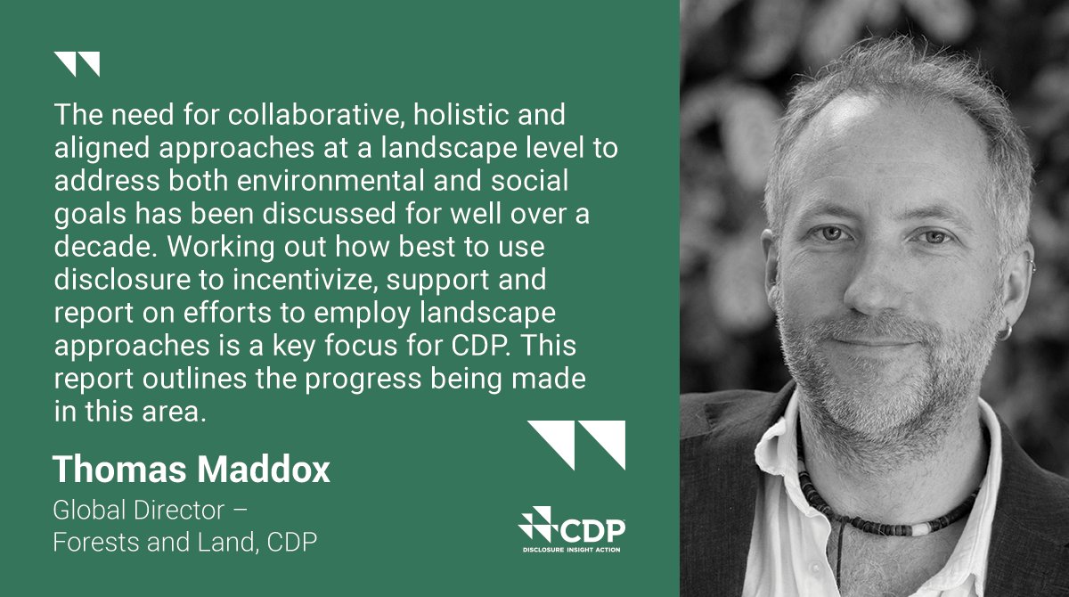 CDP's tweet photo. 🌳 The time for individual action is over. Companies and governments must work together to halt #deforestation by 2030.
Read CDP’s latest report on jurisdictional and landscape approaches, based on collective action: https://t.co/HbdvtDRQR7
#CDPForests #COP26 https://t.co/OOdAELTOw5