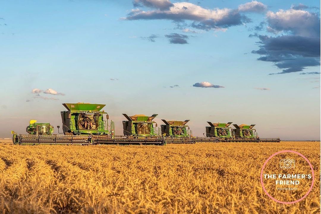 AMC_DirtDollars's tweet photo. Friday fun! π Check out this epic #harvest snap from @the_farmers_friend on Instagram. Bet you can guess which state this picture is from! πΎ
#AgriculturalManagementCompany #AMC #AMCFarmTools #harvest2021 #australianharvest https://t.co/SEbCr4RVAZ