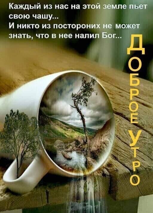 Салон МИЛОСЕРДИЕ (@miloserdie63) on Twitter photo 