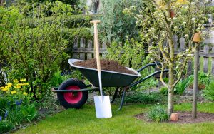 MeNutroo's tweet photo. All You Need To Know ...
https://t.co/k1q7iOa7b4

#AnnualSeeds #AromaticGarden #AromaticHerbs #BackyardGardenIdeas #GardenLandscaping https://t.co/uxwMatiFl8