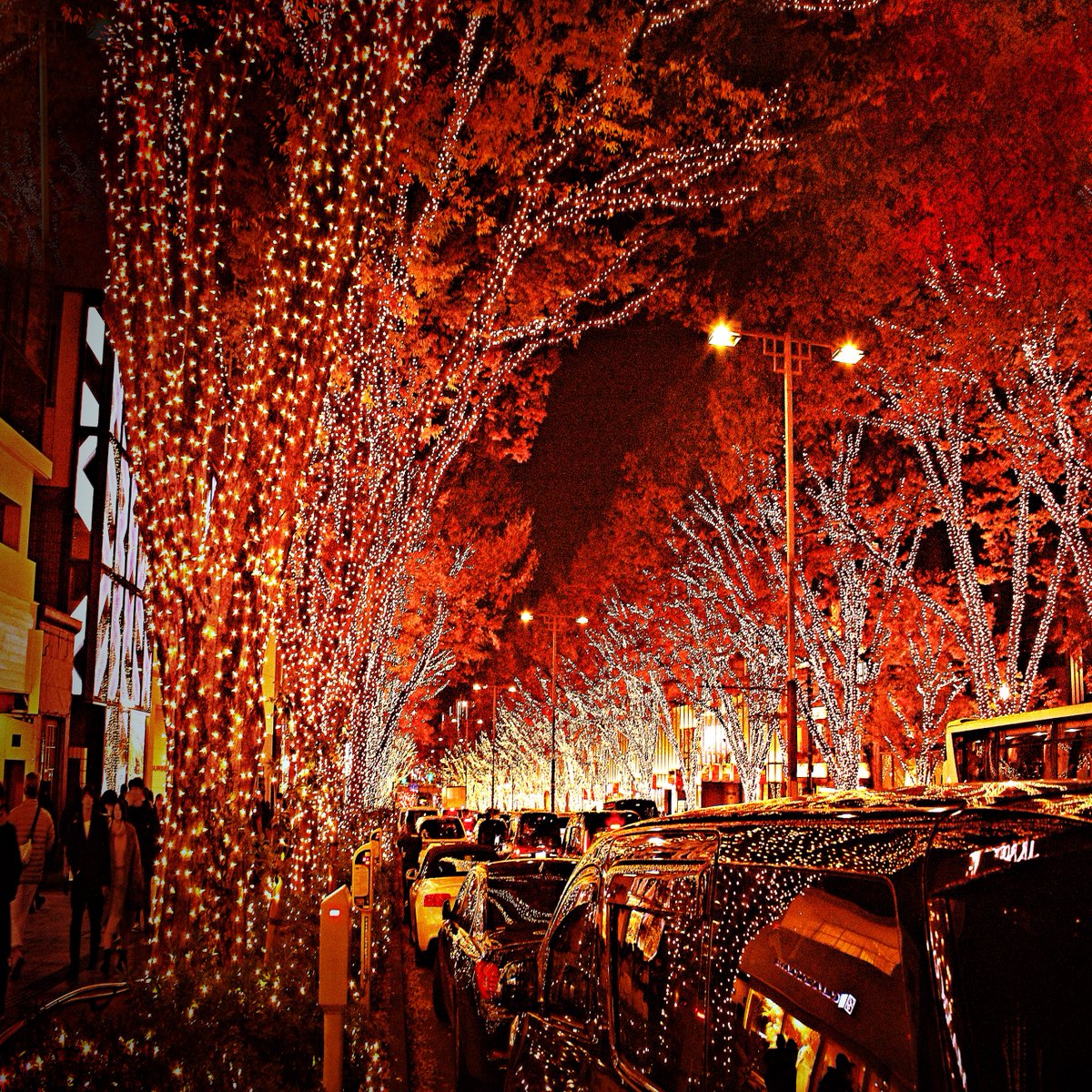 ____________k_w's tweet photo. 🍁🌃⛄️ https://t.co/bpyeEcXQRz