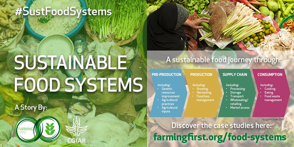 farmingfirst's tweet photo. Sustainable food systems play a crucial role in meeting the #GlobalGoals, from ending hunger to mitigating #ClimateChange.
Remember our campaign with @CGIAR? We celebrate some of the innovations involved in building #SustFoodSystems.
Discover more π https://t.co/ko8Ocv4Cwj https://t.co/rm4MX89VGB