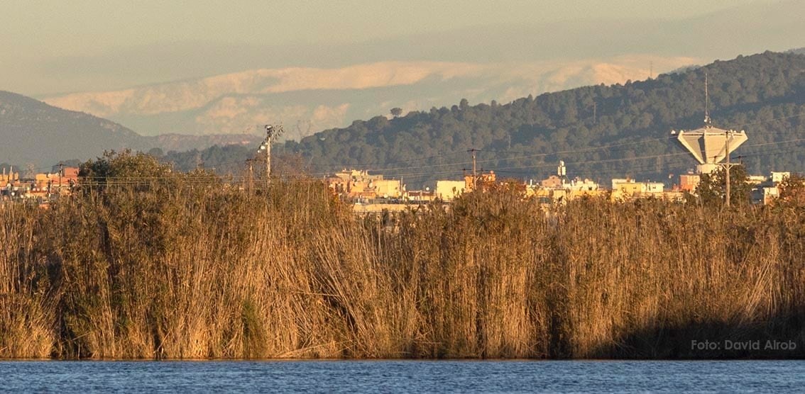 El fotògraf #ElPrat David Airob @theWside va prendre ahir aquesta espectacular foto: l'estany de la Ricarda en primer pla, tot seguit la ciutat del Prat, Collserola i, al fons, el Prepirineu (Port del Comte, Rasos de Peguera...). @MeteoMauri @meteocat @catexperience