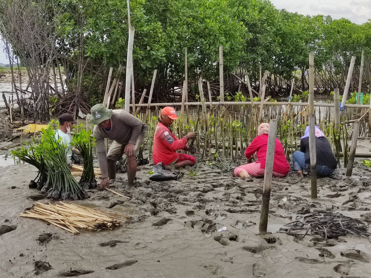 LHSUniverse's tweet photo. 🌳Dokumentasi Hee-Nature🌳
Hai, penanaman project Hee-Nature telah sukses dilaksanakan pada tanggal 13 November lalu & berikut dokumentasinya.
Terima kasih untuk semua pihak yg telah berpartipasi menyukseskan project ini.
Mari kita dukung Heeseung terus🥰
#Heeseung #ENHYPEN https://t.co/xDNSk6TWZi