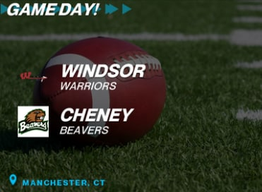 StruggleOfTheTurtle tweet media