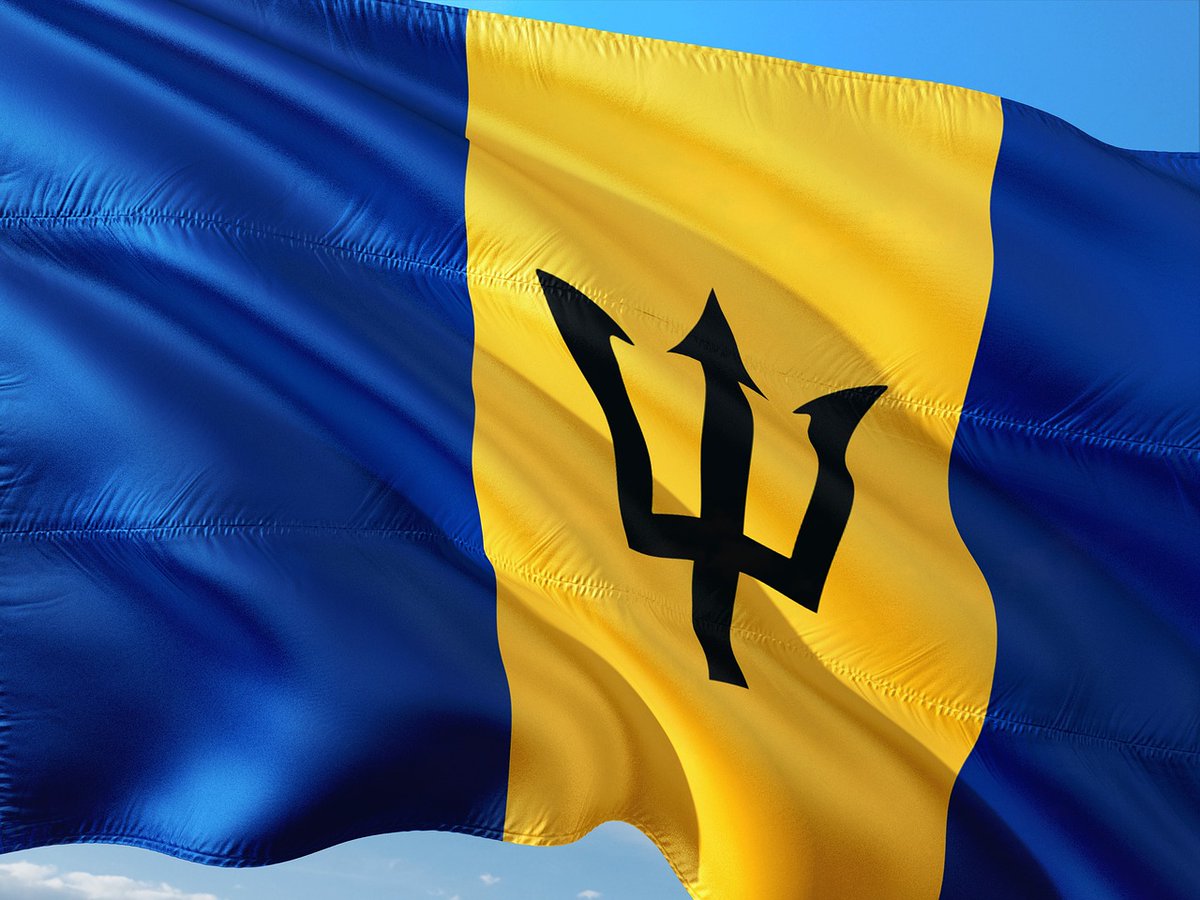 InfoCollective_'s tweet photo. Happy Independence Day Barbados! https://t.co/0IXl3ItHBX