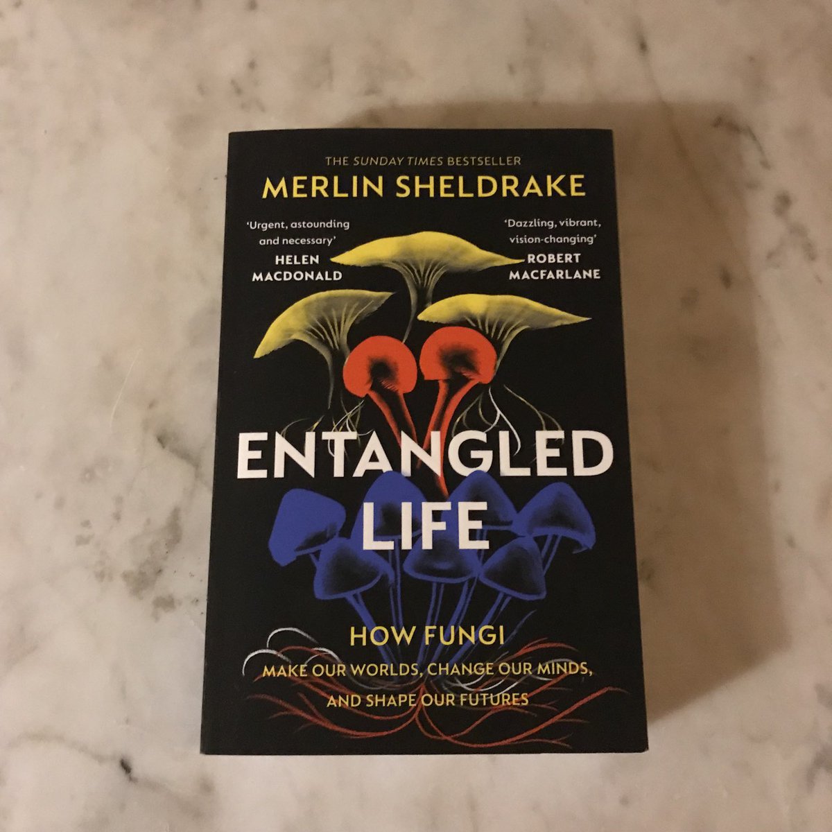 Vanessa Griffiths (@van_griffiths) on Twitter photo Delighted to hear <a href="/MerlinSheldrake/">Merlin Sheldrake</a> won the <a href="/royalsociety/">The Royal Society</a> Science Book Prize last night. I’m reading it at the moment and am filled with wonder… Delighted to hear <a href="/MerlinSheldrake/">Merlin Sheldrake</a> won the <a href="/royalsociety/">The Royal Society</a> Science Book Prize last night. I’m reading it at the moment and am filled with wonder…