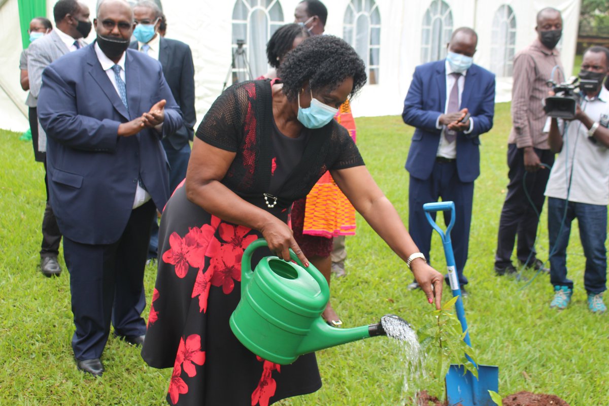 UNDPUganda's tweet photo. Hon. Beatrice Anywar State Minister @min_waterUg, @ElsieAttafuah Resident Representative @UNDPUganda, @kjerstilin Deputy Head of Cooperation @NorwayMFA and Mr. Tom Okello @ed_nfaug plant tree saplings at @NFAUG Gardens during #NARIS Launch 🌱

#AccLabUG #EndDeforestationUG https://t.co/dZto5S8B3s