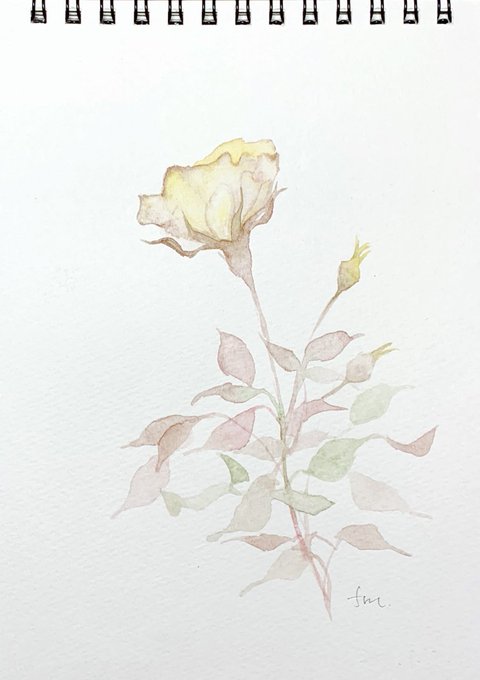透明水彩のtwitterイラスト検索結果