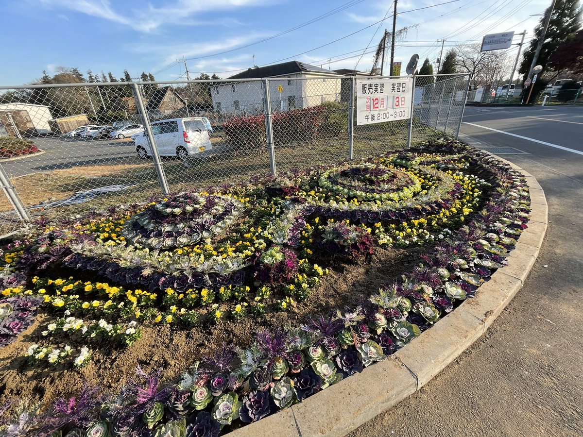 asoshi2022's tweet photo. 大学校の正門では花き専攻による寄せ植えがしてあります！今週土曜日のお花の直売を開催しますのでお越しください！
寄せ植えの相談や色合いなどお困り事、また大学校に進学したいなど相談ございましたら対応しますので何なりと生徒などにお声がけ下さい！
#熊谷市 #農業大学校 #お花 #直売所 https://t.co/m4QPZjzzRw