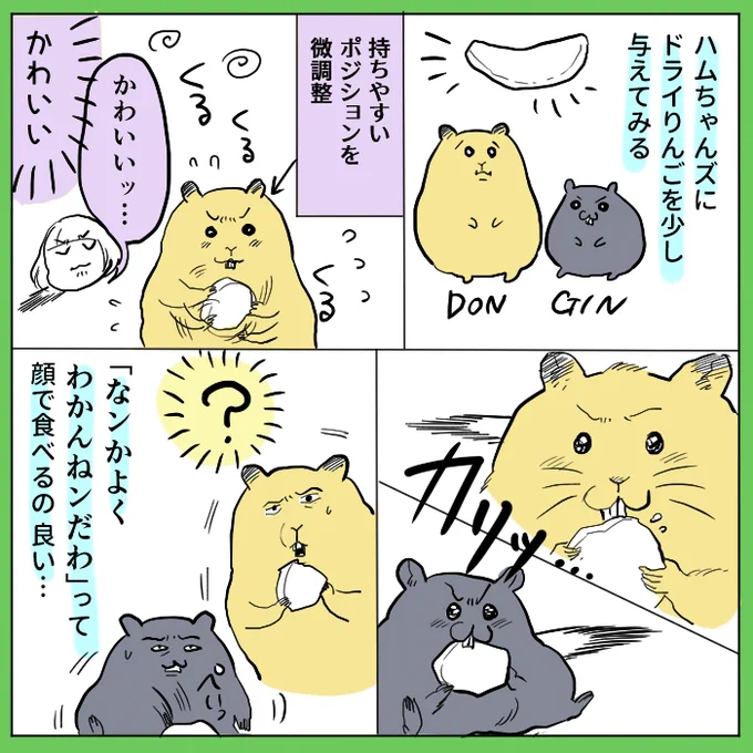 ハムスター日記:ドライりんごはそこまで刺さらなかったようです 