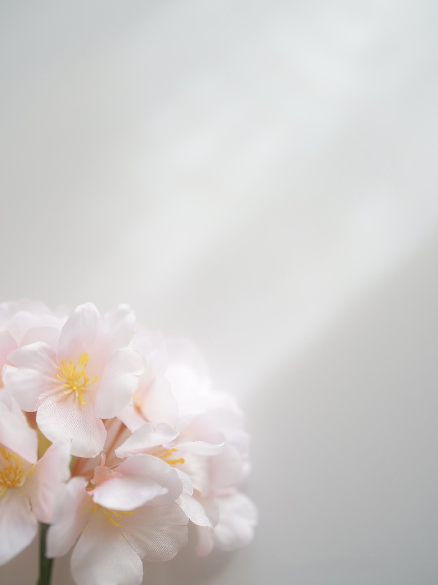 toiki1's tweet photo. 『桜のブーケと日差し』
#kani_filter #CDF3 #物撮り #Batis40mm #Zeiss #東京カメラ部 #チャンプカメラ #googlelocalguide https://t.co/lWK9qVua3Y
