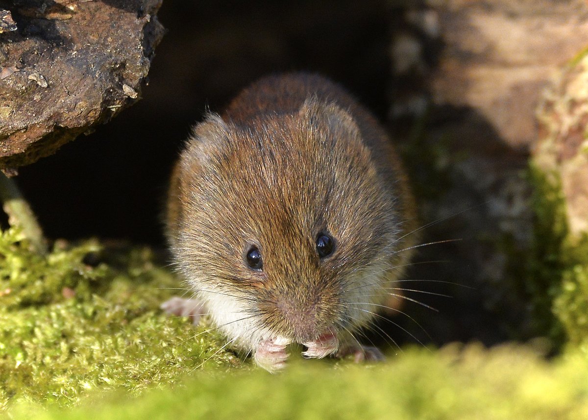 Fiona Mathews tweet media