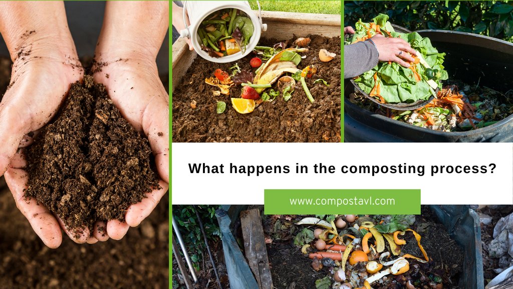 CompostAVL tweet media