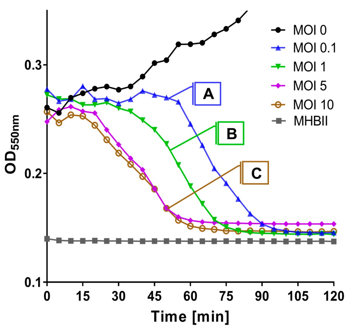 Pharmaceut_MDPI's tweet image. Friends or Foes? Rapid Determination of Dissimilar Colistin and Ciprofloxacin Antagonism of Pseudomonas aeruginosa #Phages. (By Dr. Katarzyna M. Danis-Wlodarczyk et al.)

#AntibacterialTherapy #BacteriophageTherapy  

📄Read Via:
mdpi.com/1424-8247/14/1…