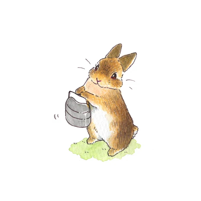 うさぎさんのキャンプ🏕️

飯盒もってきたよ 