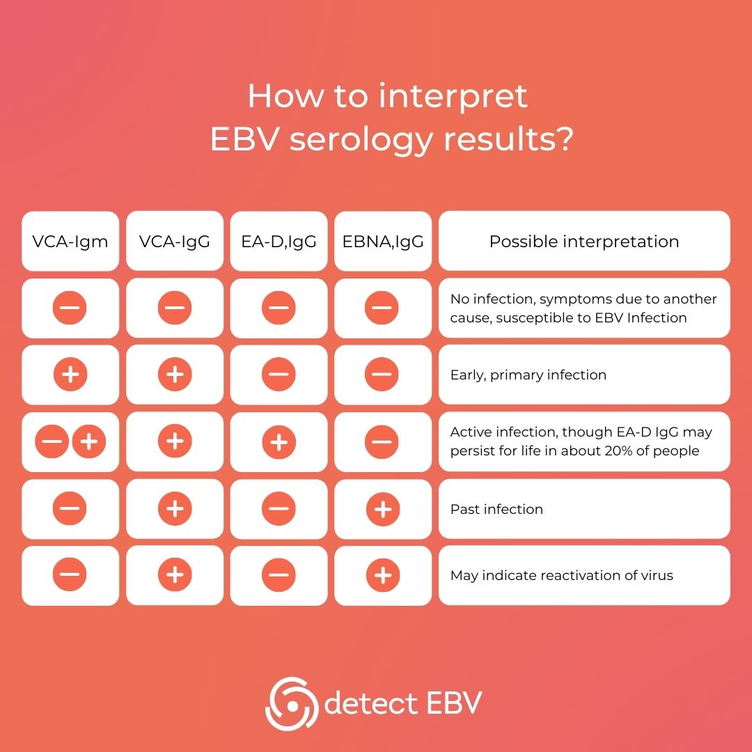 DetectEbv's tweet photo. โฌ๏ธHow to interpret EBV serology results ?
โ๏ธ During the winter months it is important to detect the Epstein Barr virus.
๐ฉธYou can ask your doctor to order a blood test and mention "EBV serology".
#DetectEBV #EBV #EpsteinBarr #Everybodysvirus #EBVtrackers #EBVexplorers #EBVHeroes https://t.co/BrJrGvo5Qz