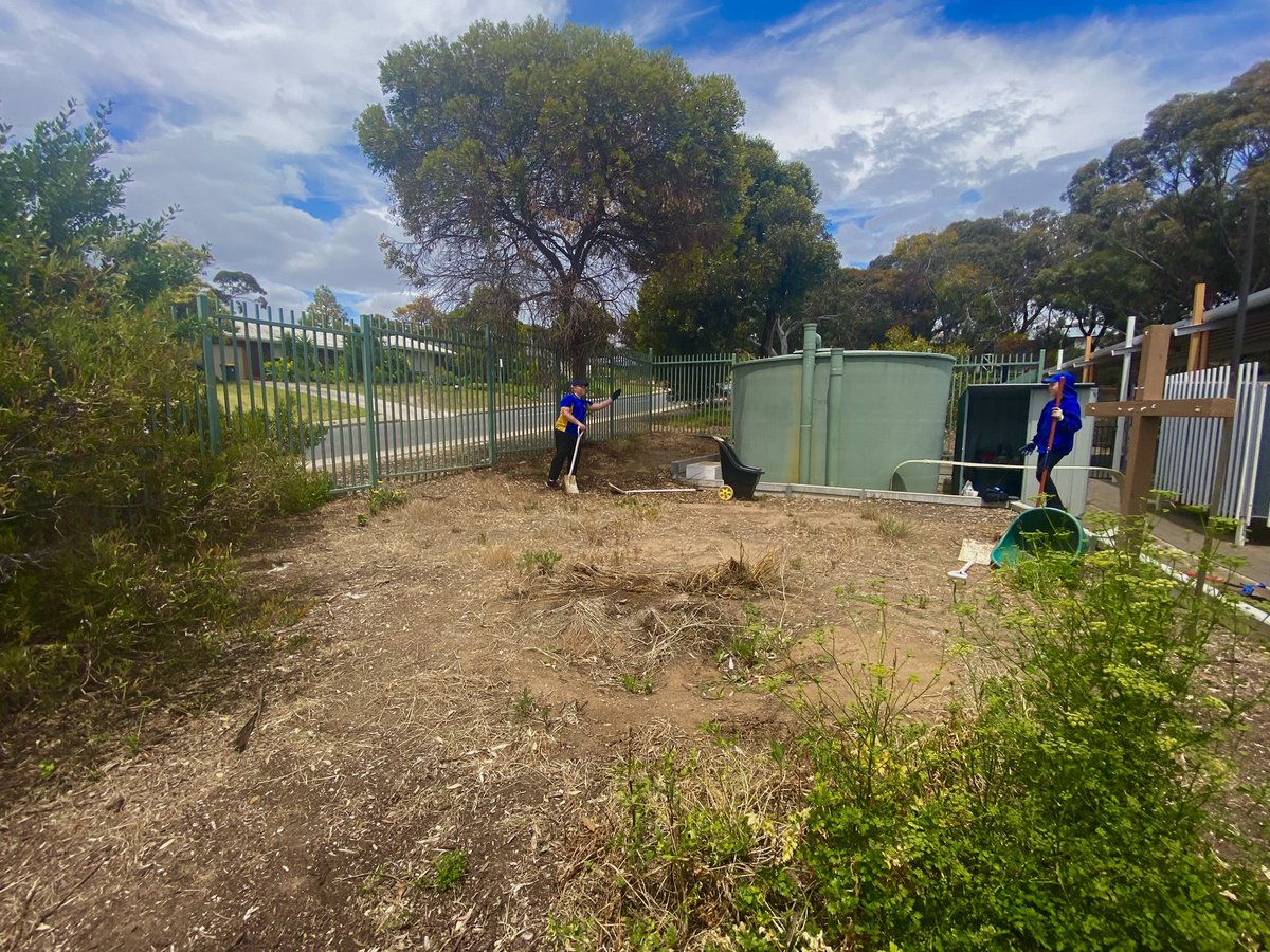 ProjReimaginate's tweet image. We pulled off an incredible one-day transformation today. Ss designed the space, built furniture, and brought our new Japanese Garden to life. We will add a torri gate, Koi fish mural and bamboo to screen the street.Awesome effort from kids on a hot, Spring day!

#ProjReimaginate