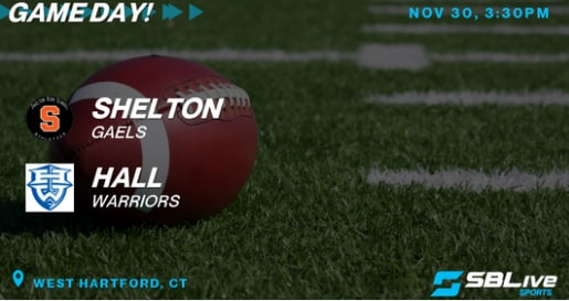 StruggleOfTheTurtle tweet media