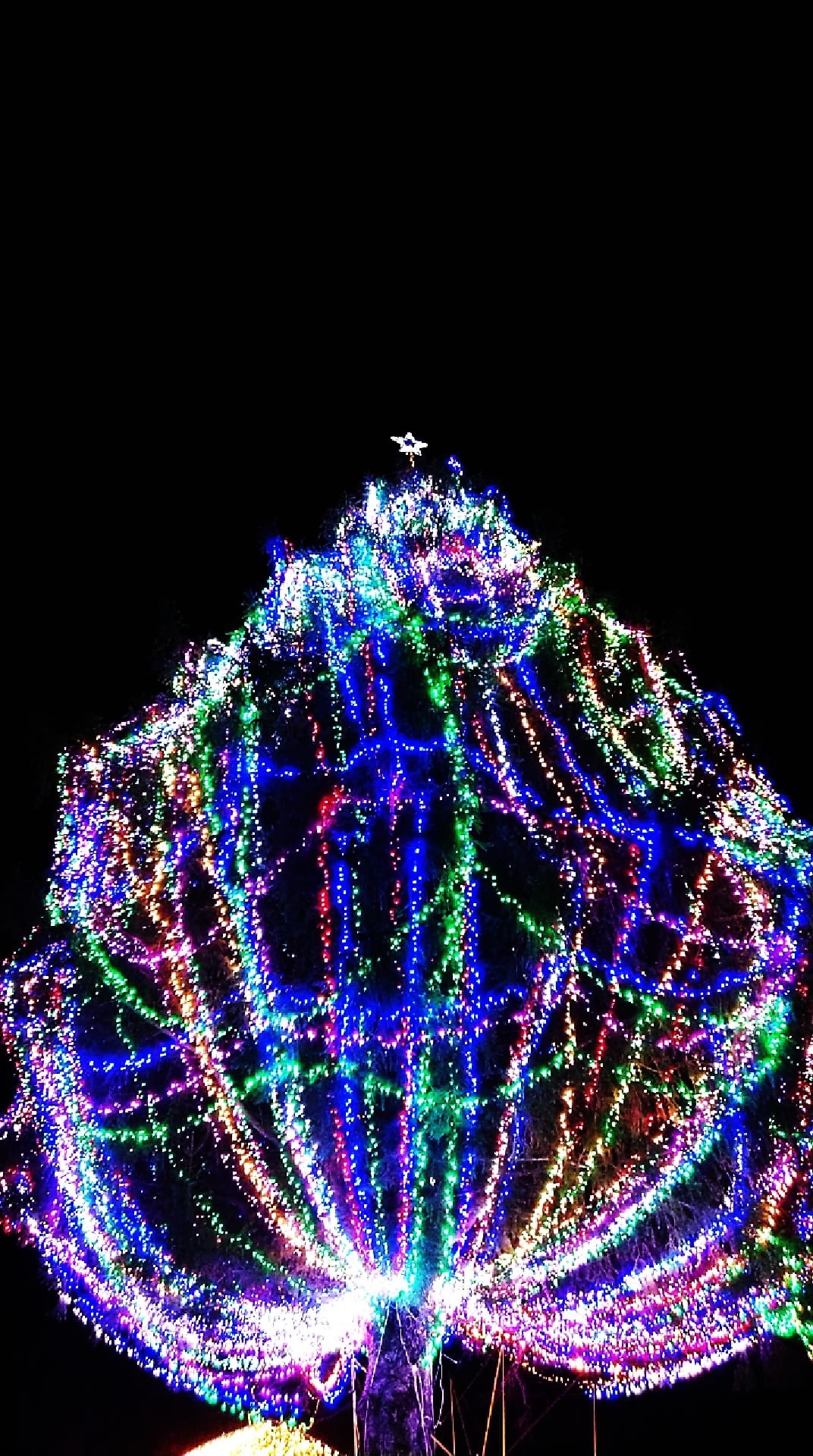 小岩井農場 公式 いよいよ明日から 銀河農場の夜21 Koiwai Winter Lights 開催です 光と灯りの銀河農場 をテーマにまきば園をライトアップ 今年は屋内のあったかスペースでも展示を楽しめます 詳しくはこちら T Co Maj8msaayk 岩手 小岩井農場 公式 いよいよ明日から 銀河農場の夜21 Koiwai Winter Lights 開催です 光と灯りの銀河農場 をテーマにまきば園をライトアップ 今年は屋内のあったかスペースでも展示を楽しめます 詳しくはこちら T Co Maj8msaayk 岩手