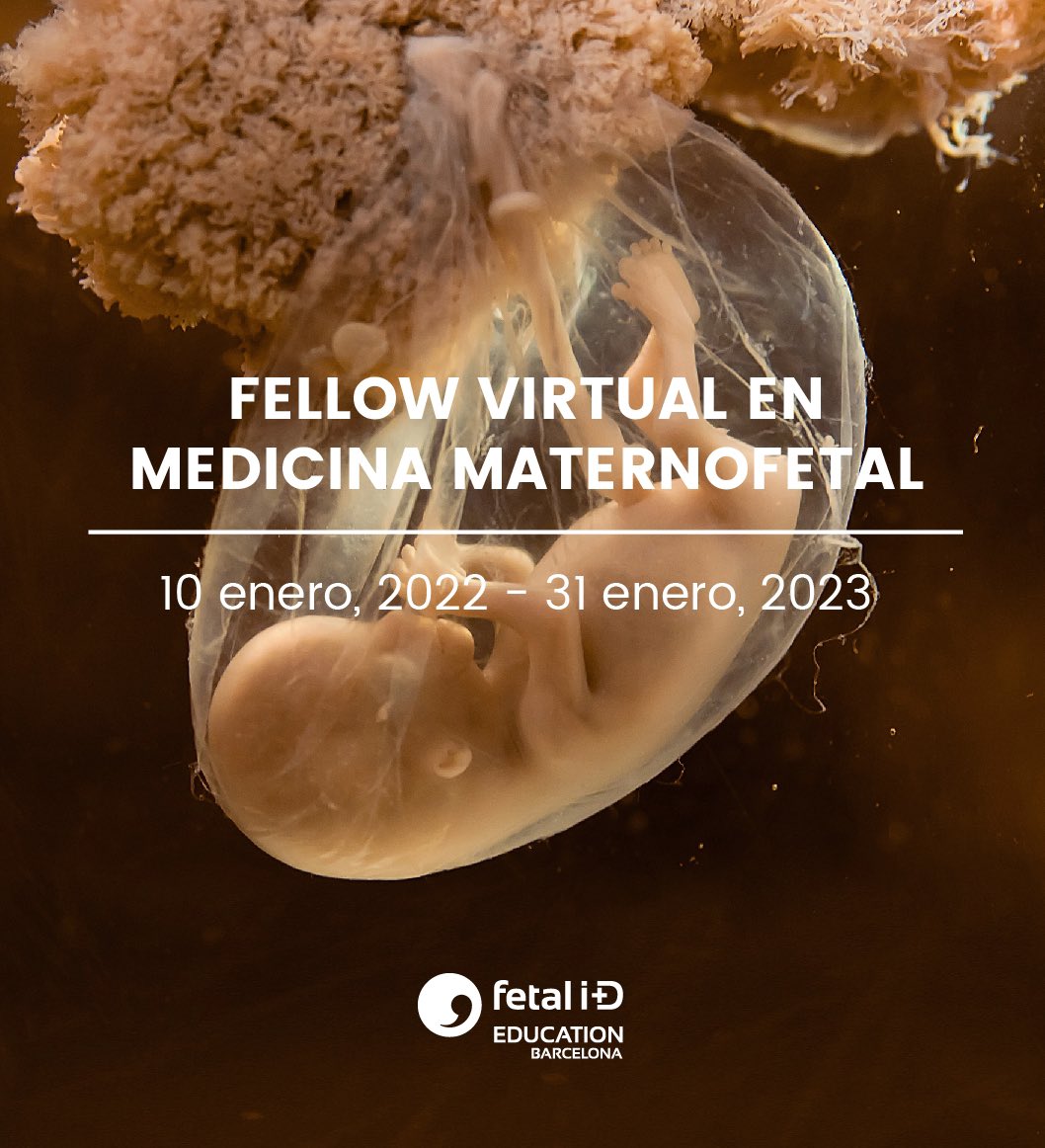 medfetalBCN's tweet photo. Sobre neurodesarrollo fetal hablaremos en nuestro Fellow Virtual en #MedicinaFetal: formación online + estancia presencial en #BCNatal. Dirigen @GratacosEduard y @frafig. Una oportunidad para capacitarte para tu práctica diaria 

📌¡Última plaza!
🔗 https://t.co/rcd8DIBBw2 https://t.co/ZHezLvpbLH