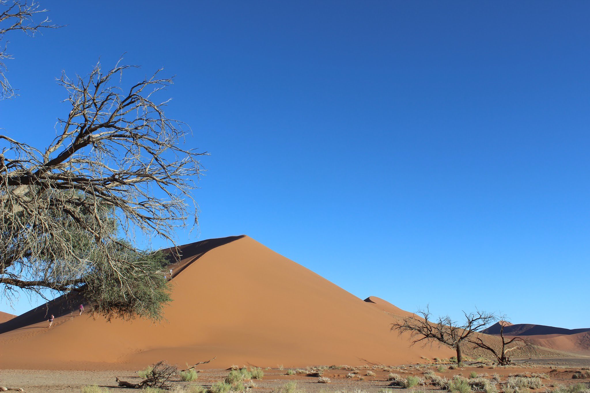 ナミビア Twitter Search Twitter