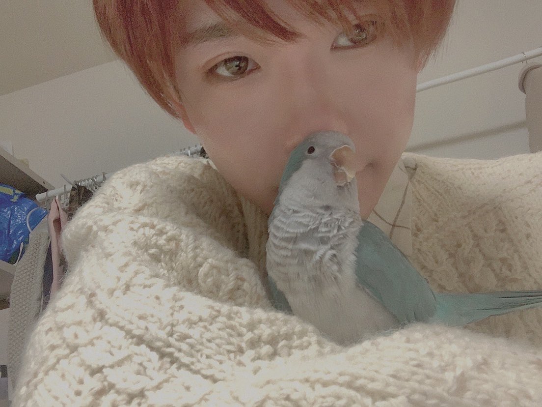 koduta_DDbabies's tweet photo. クビナガハヌルザウルス
と
イツモドオリノハヌル https://t.co/Q6LIFJ11om
