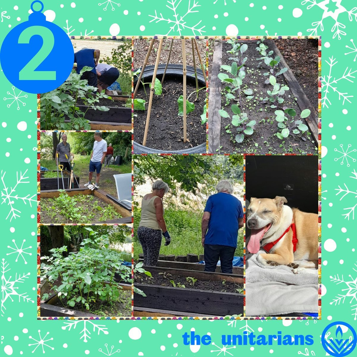 On the 2nd day of our
#RadicalAdventCalendar 2022, we present to you… the
fantastic #IncredibleEdibles project at #StandUnitarians
in #Whitefield - building community through the power of food.

facebook.com/Stand-Unitaria…

#RadicalSpirituality #RadicalCommunity
#TheUnitarians