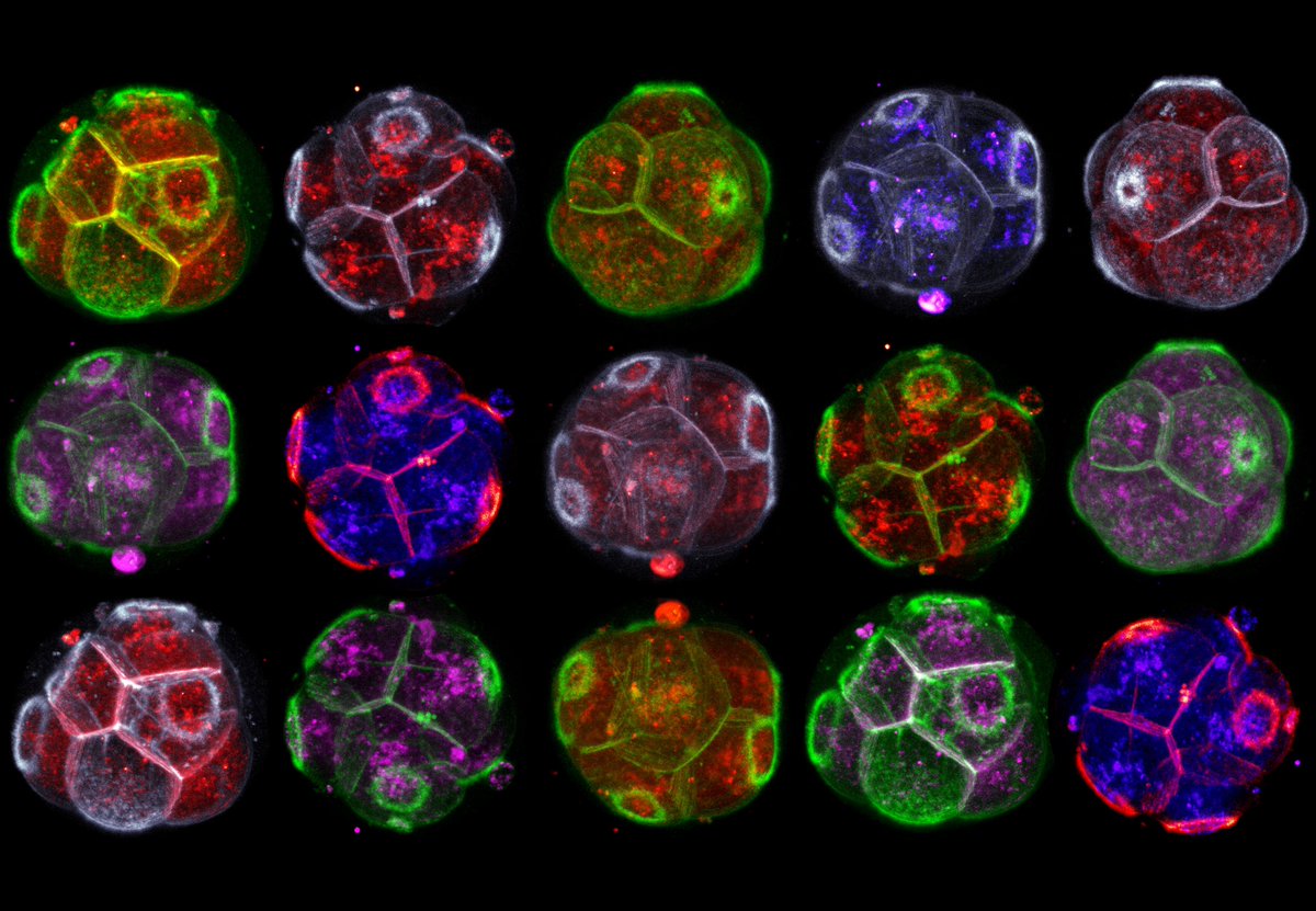 And again, I’m reminded of why I love being a scientist 😍 <a href="/ARMI_Labs/">ARMI</a>