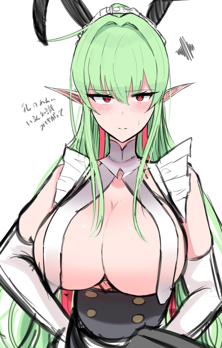 昨日の手直しついでに得た知識をクインさんにぶつけただけの絵 