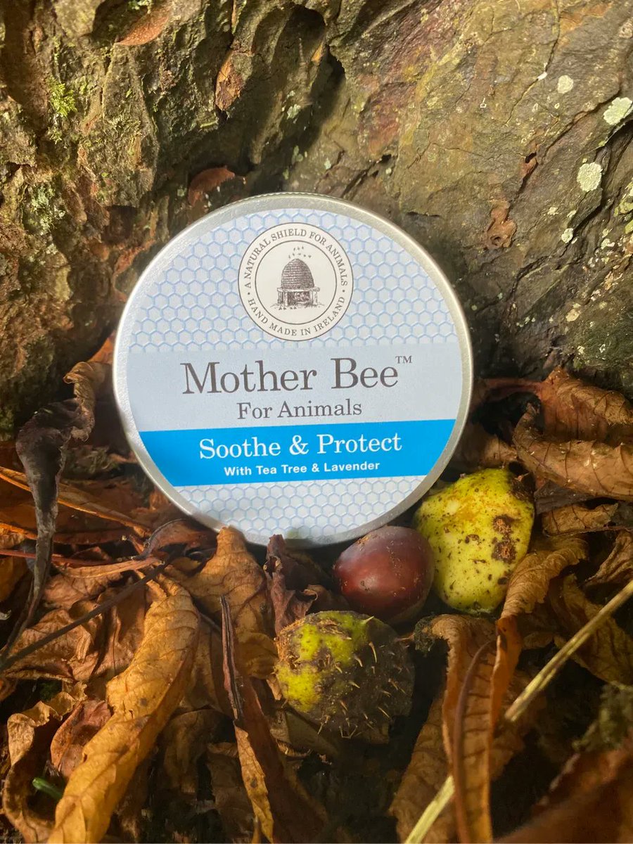 Mother_Bee's tweet photo. Have you got your Winter ❄️ armoury of products primed and ready for all your skincare needs? 

Don’t get caught out….. 🌤🌧🌬⛄️

We have a hero 🦸‍♂️ product, to get you through to spring 🌷

⏱Available online 24/7

https://t.co/Wp2tOuYd9t

#lovemotherbee https://t.co/yP3xb3Vrk3