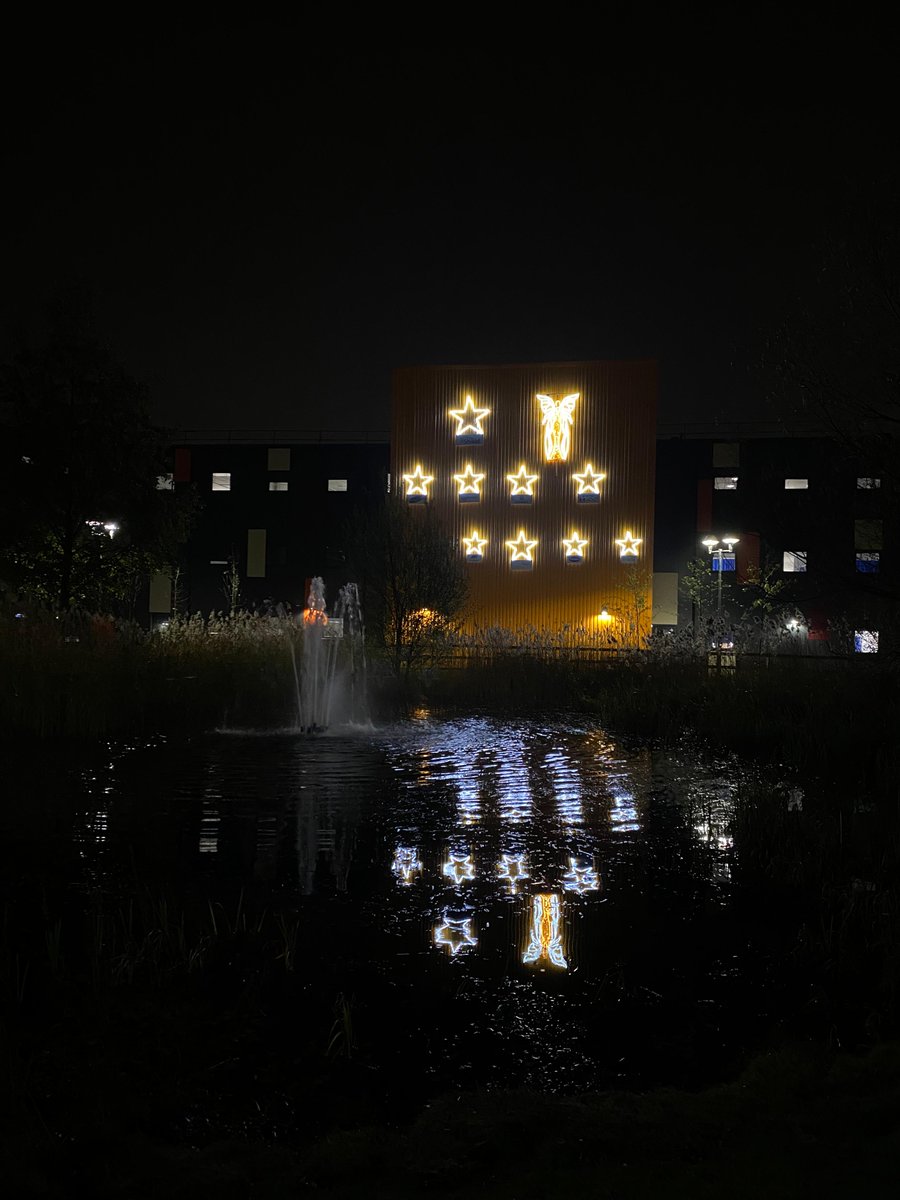 Health_Charity's tweet photo. To commemorate all staff and patients we’ve lost at Cardiff and Vale Health Board, we’re dedicating our angel to them. 💖 ⭐#ShineBright https://t.co/Cx6oTDGQkP