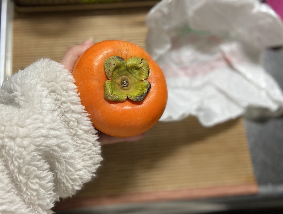 kutsuwata's tweet photo. 柿好きってわけでもなかったけど、大人になっていくと食の好みは本当に変わるんだなと実感👩‍🌾
（さやか）
#富有柿 
#人生一柿食べてる https://t.co/QrZGa4ZuNi