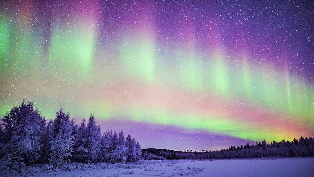 DiscoverFinland's tweet photo. The Great Show in the Skies: Northern Lights, where &amp; when to best see them in Finland https://t.co/7y6LmZoXG8 Photos shared on IG by momentsofgregory, lorenzmira_lapland, arctic_adventures_timetravels, and jan_daycape, now added to our Revontulet gallery: https://t.co/7cIvxKeDwc https://t.co/NVr1nEWDLA