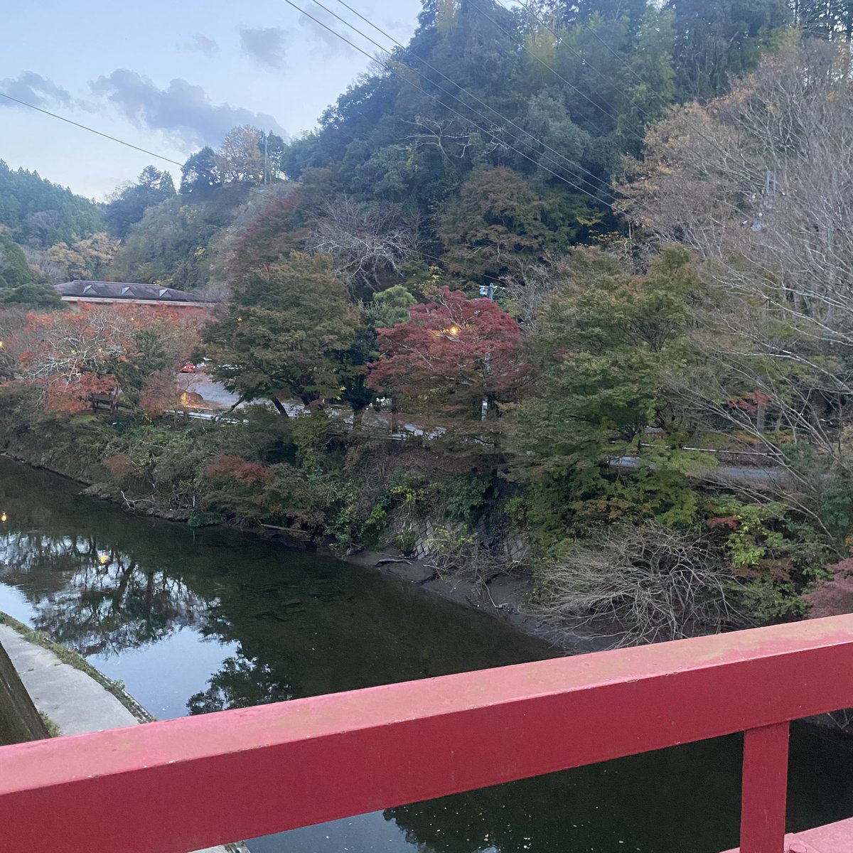 ars__99s's tweet photo. 紅葉🍁 https://t.co/MUL8PbVVzB