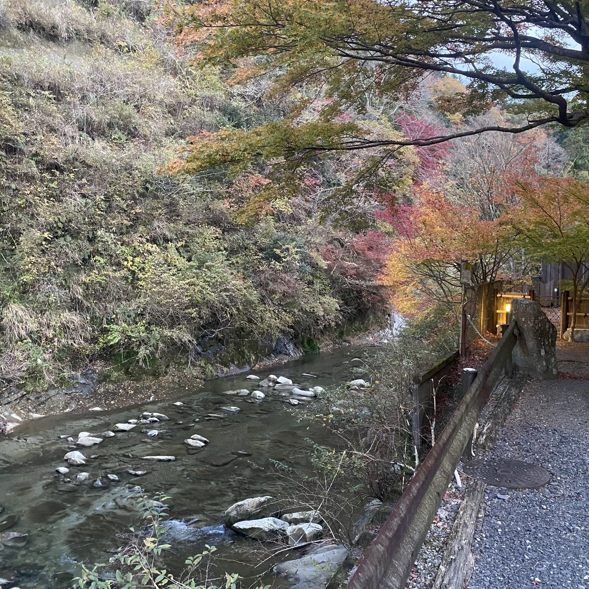 ars__99s's tweet photo. 紅葉🍁 https://t.co/MUL8PbVVzB