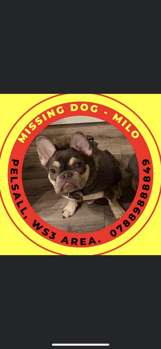 SarahWhe78's tweet photo. @richie_anderson @ZoeTheBall @BBCRadio2 Please help- MILO THE FRENCH BULLDOG IS MISSING FROM THE PELSALL AREA WEST MIDLANDS SINCE 22ND NOVEMBER HE IS 6 MONTHS OLD- POSSIBLY STOLEN . REWARD OFFERED FOR HIS SAFE RETURN. #BRINGMILOHOME https://t.co/e3Np8UTZxv