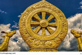 Larrick Racette (@larrickracette) on Twitter photo 