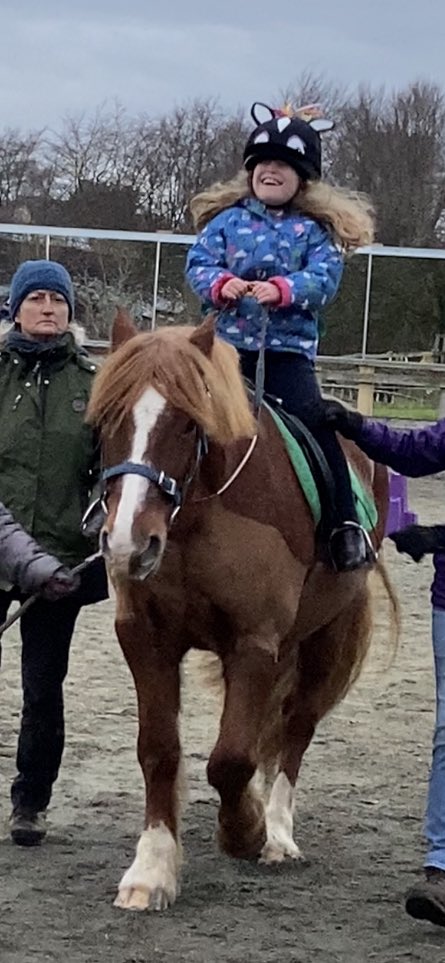 Rachel Medill tweet media