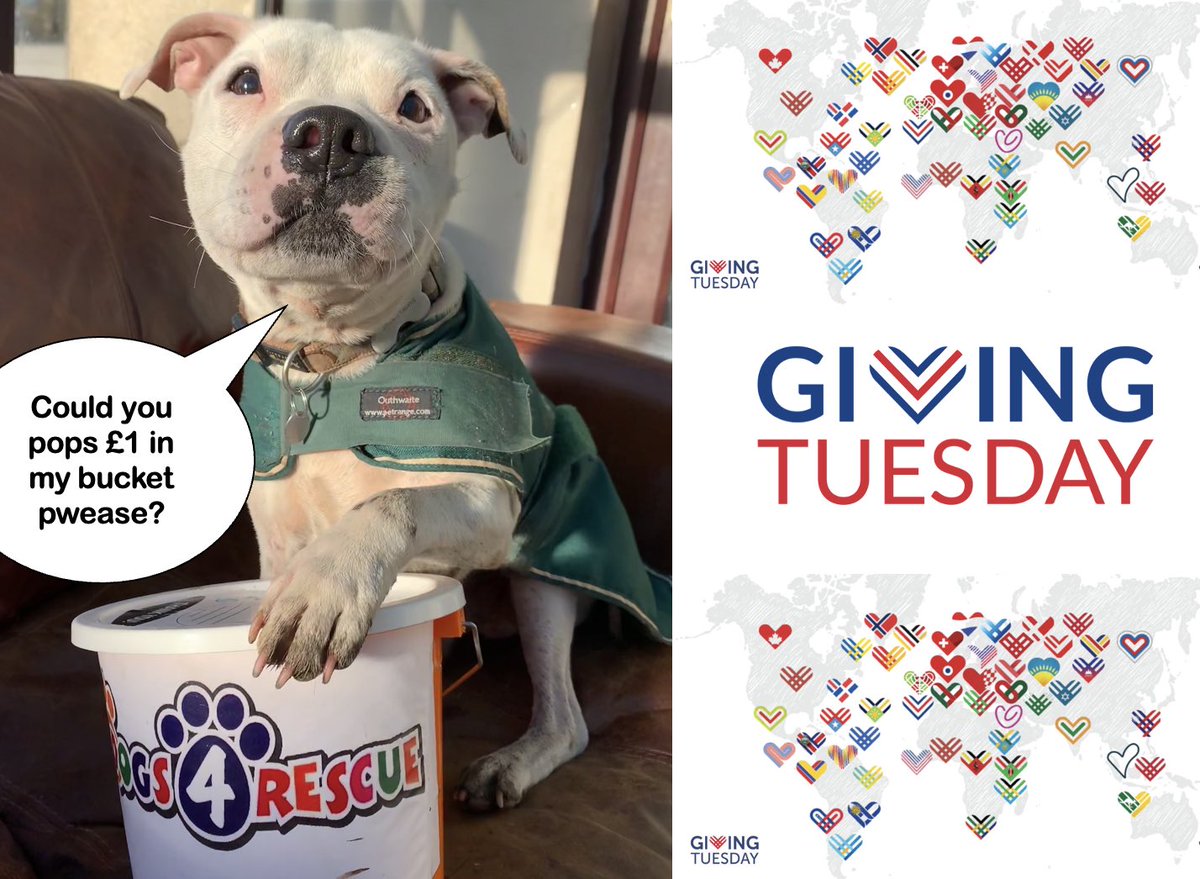 Today is #GivingTuesday Could you pop £1 in Grandson Charlie’s bucket? paypal.com/uk/fundraiser/… Like every small rescue vets bills are our biggest cost - £6,292.91 in last 3 weeks alone 😫 Every Xmas people want to send toys & treats but what would really help us most