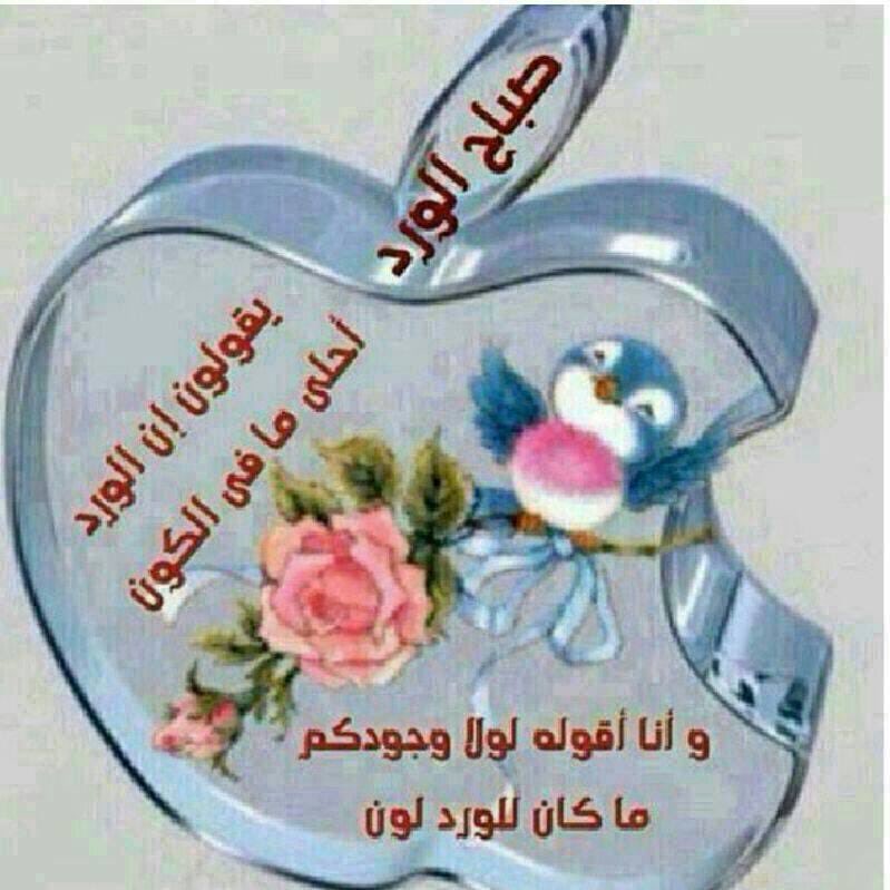 ffaattmm44's tweet photo. https://t.co/aG2jplCUld