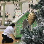 グランドニッコー東京ベイ 舞浜のツイート画像
