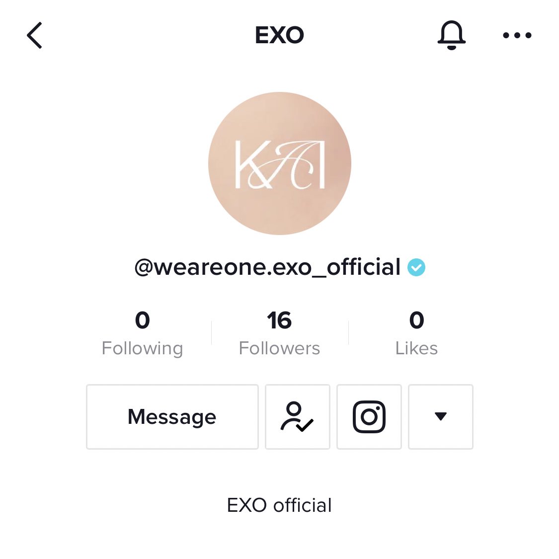 ohsenh's tweet photo. EXO TIKTOK ACCOUNT?!?!?!?!? https://t.co/ephUwlQchb