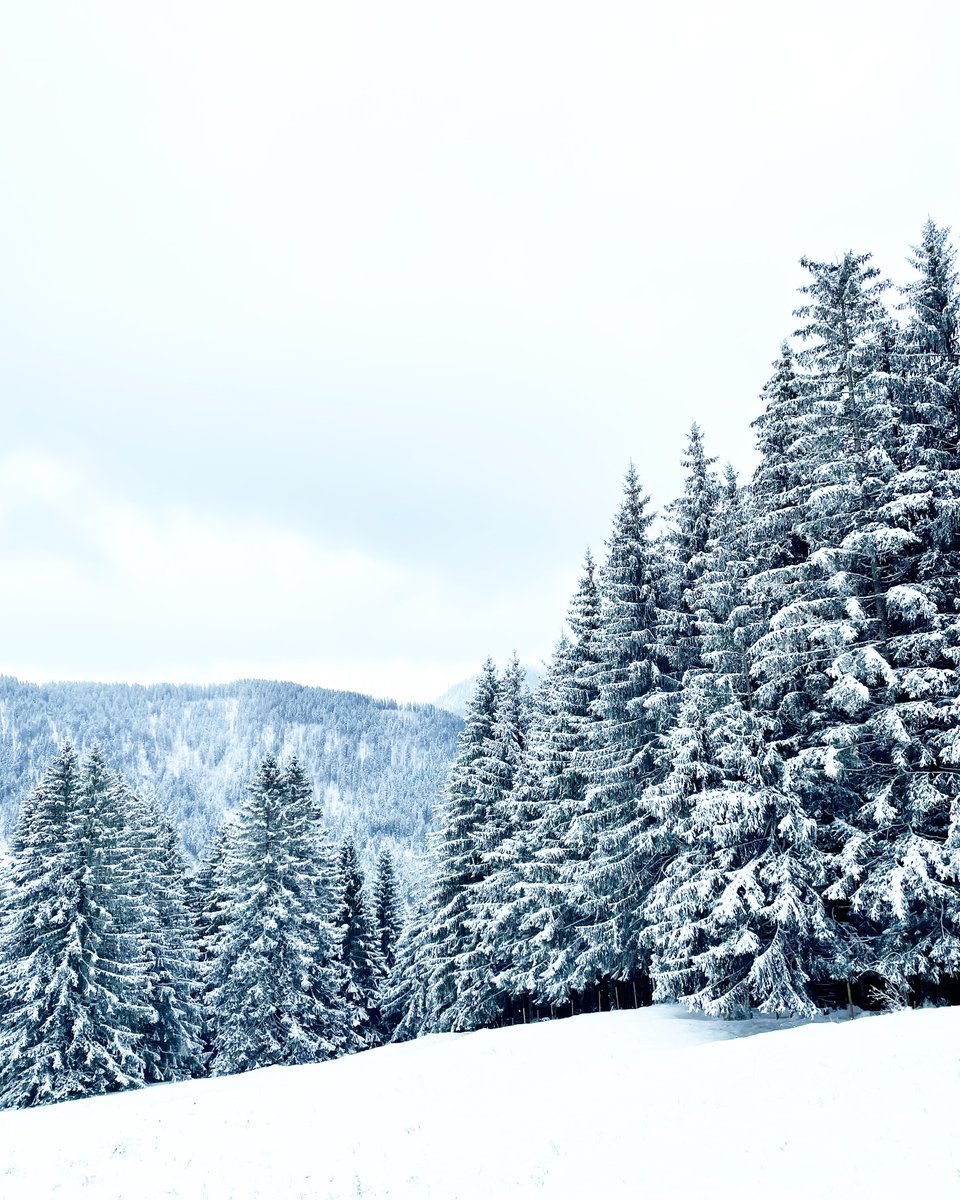 UFT / FTV (@uft_ftv) on Twitter photo Let it snow! Die meisten der Freiburger Voralpen sind eingeschneit. Winterwunderland ist auch bei uns angekommen. Tolle Fotos aus der Region Les Paccots <a href="/PaccotsEtRegion/">Paccots et Région</a> Let it snow! Die meisten der Freiburger Voralpen sind eingeschneit. Winterwunderland ist auch bei uns angekommen. Tolle Fotos aus der Region Les Paccots <a href="/PaccotsEtRegion/">Paccots et Région</a>