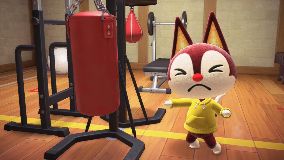 rinoaseven's tweet photo. Had a cozy stream but not without some hype! Thanks for the raids @Ovrly_Chandy and @OhSugarrr_! We built a gym for Rudy and he loved it! Check him out 💪
#acnh #hhp #degenstream #cozystream #howyoudoin https://t.co/a4ozYzQX6G