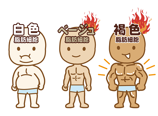 減量のtwitterイラスト検索結果 古い順