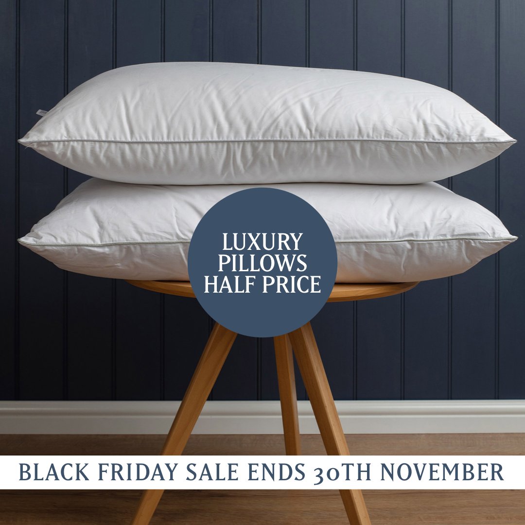 black friday throw pillows
